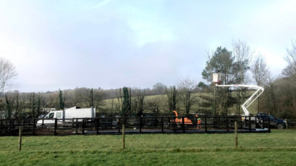 Nick Teeling Tree surgeon performing a crown lift on a tree.