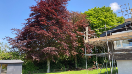 A beautiful garden that we landscaped in Chichester