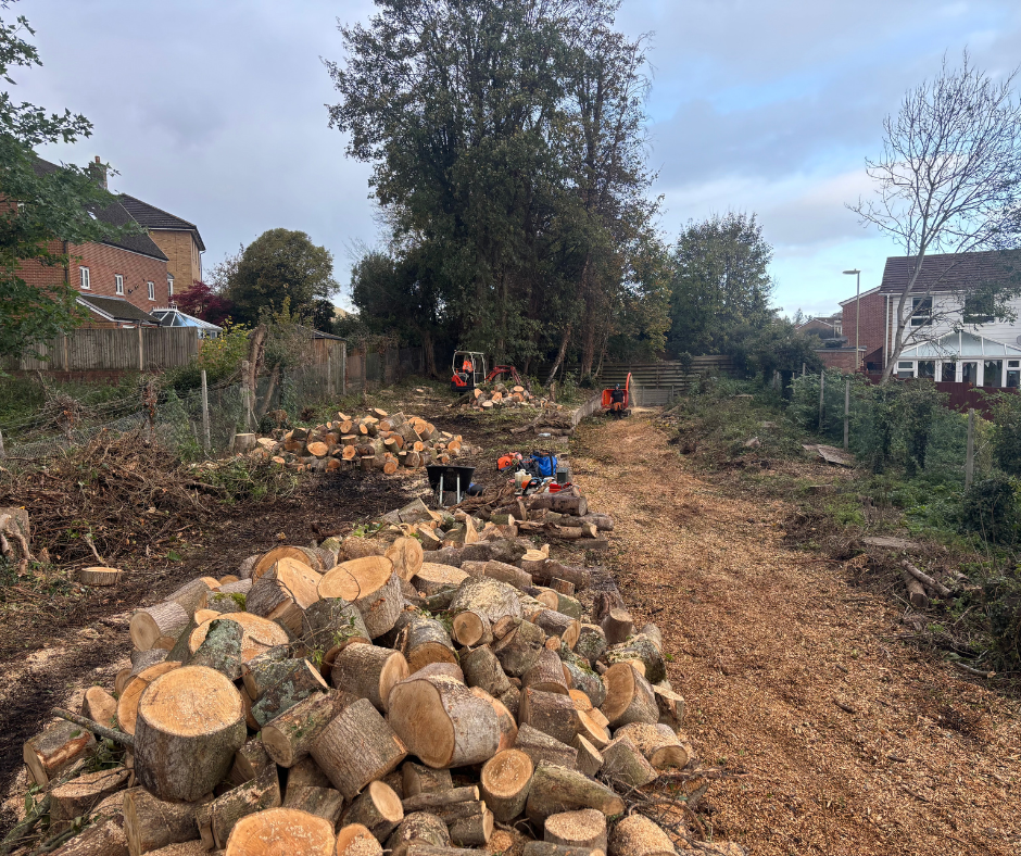 Tree Removal 1 940 x 788